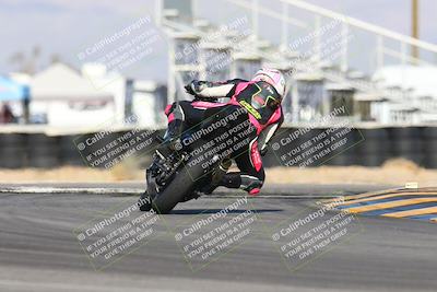 media/Feb-03-2024-SoCal Trackdays (Sat) [[767c60a41c]]/11-Turn 16 (2pm)/